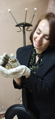 В Ивановской области женщина вырастила из леопардового существа чайку